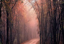 开云体育官网：法尔克：皇马确实接触过基米希，但认为该球员过于年长和昂贵.