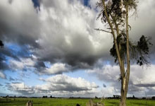 开云体育官网：[国]伊万：能见到队员很开心 也很重要.