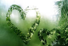 范晓冬：从球员角度讲金元足球是好的，足球一定要有贫富差距.