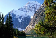 开云体育官网：约基奇26+13掘金负森林狼 雷霆胜开拓者5连胜.