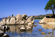 开云体育官网：[澳网]佩古拉爆冷止步女单32强.